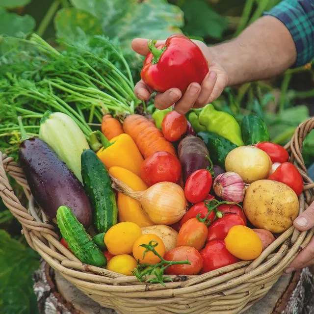 thumbnail for publication: Florida Vegetable Gardening Guide